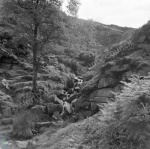 Bronte Waterfall